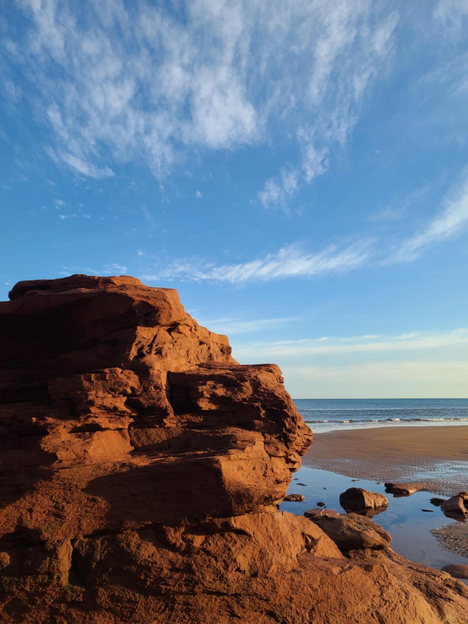 Margate Homestead 'Art House' /Views/Beaches/Golf Kensington ภายนอก รูปภาพ